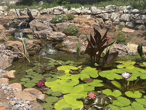 pond 5 JH.jpeg